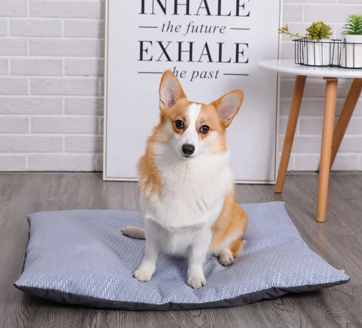 Summer Cooling Pet Dog Mat