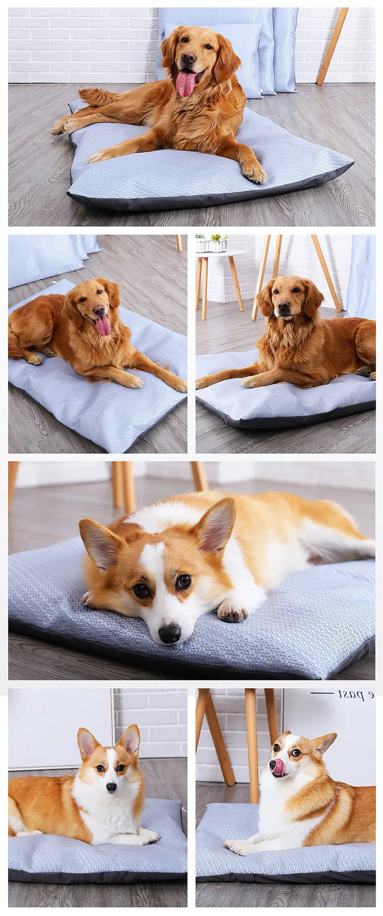Summer Cooling Pet Dog Mat