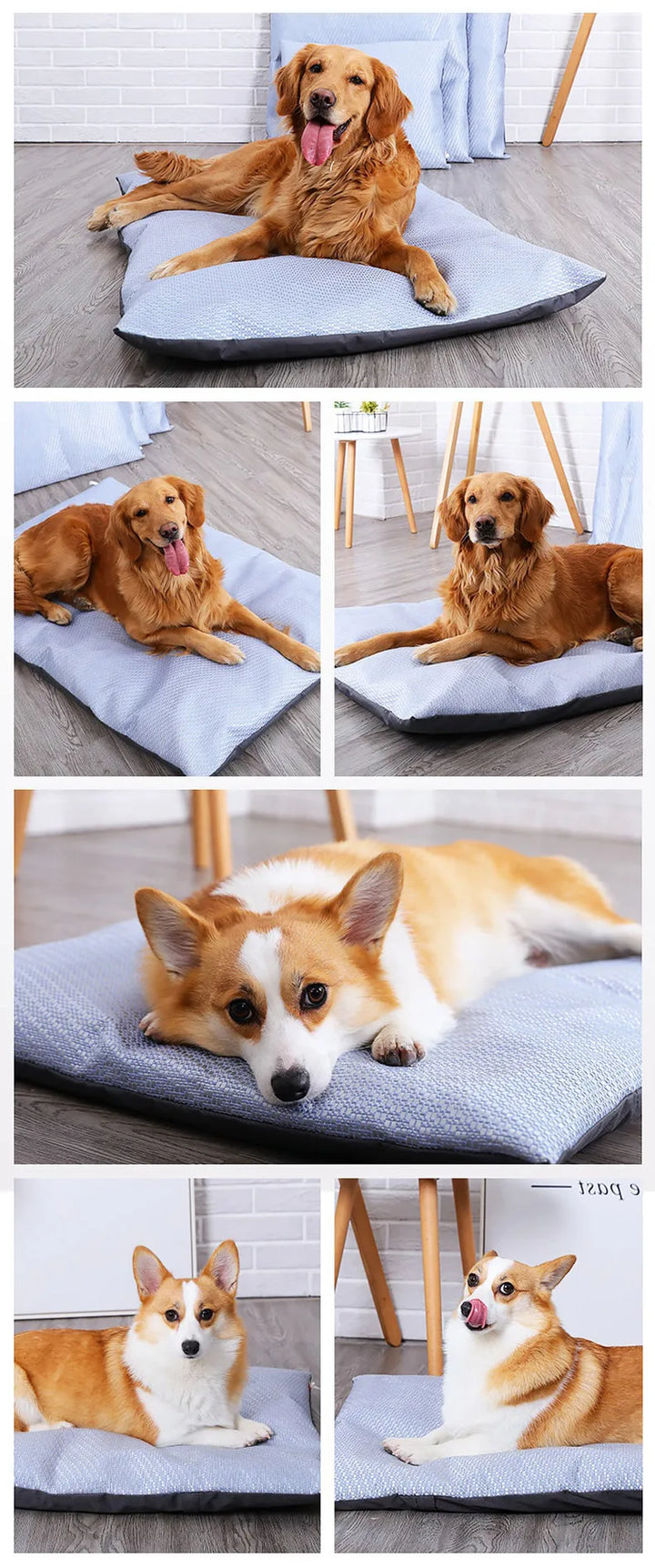 Summer Cooling Pet Dog Mat