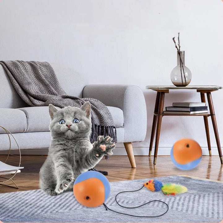 Automatic Pet  Rolling Chase Ball