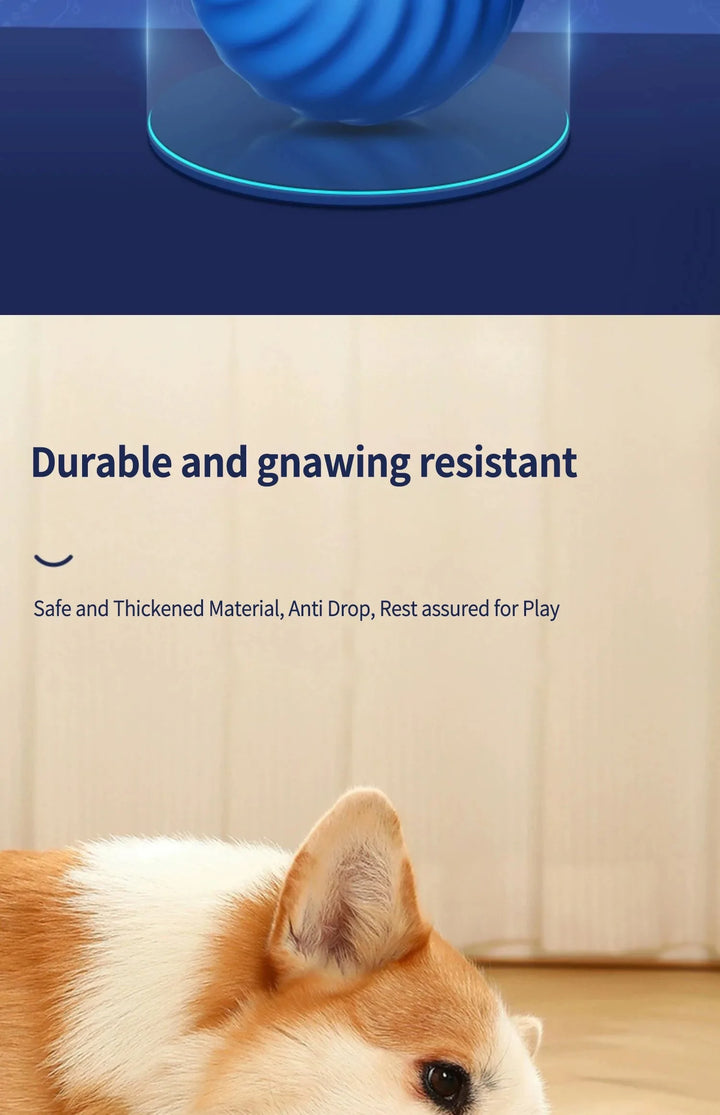Interactive Pet Toy Moving Ball