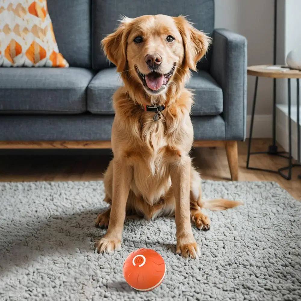 Active Rolling Ball For Pets