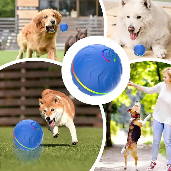 Active Rolling Ball For Pets