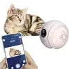 Automatic Pet Toy