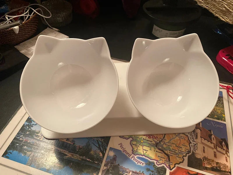 Double Cat and Dog Bowl