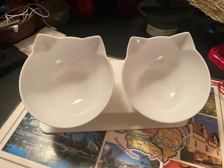 Double Cat and Dog Bowl