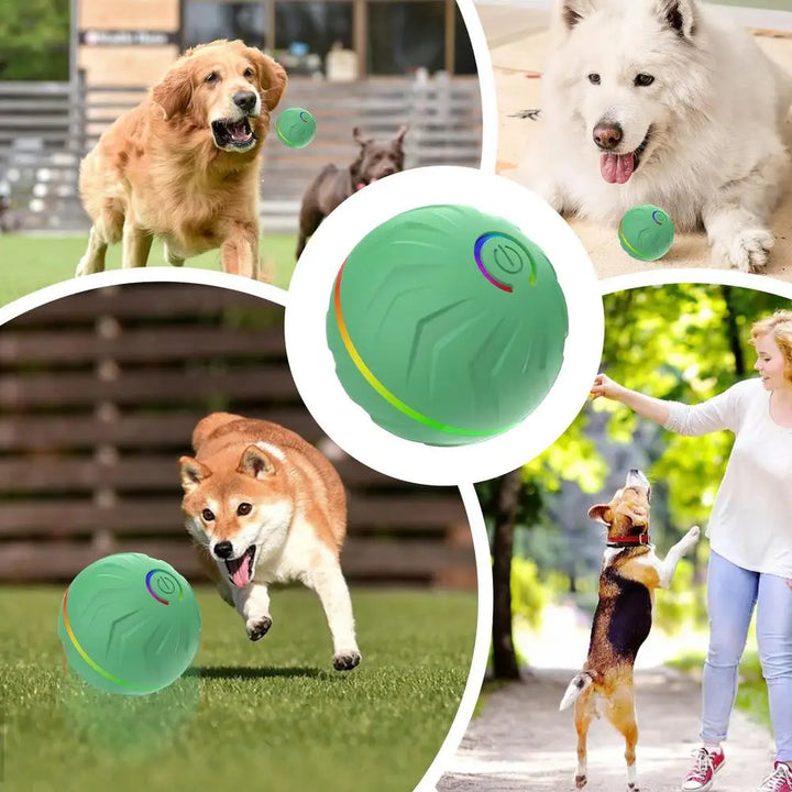 Active Rolling Ball For Pets