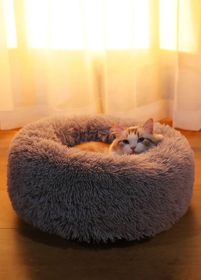 Round Pet Dogs And Cat Mat