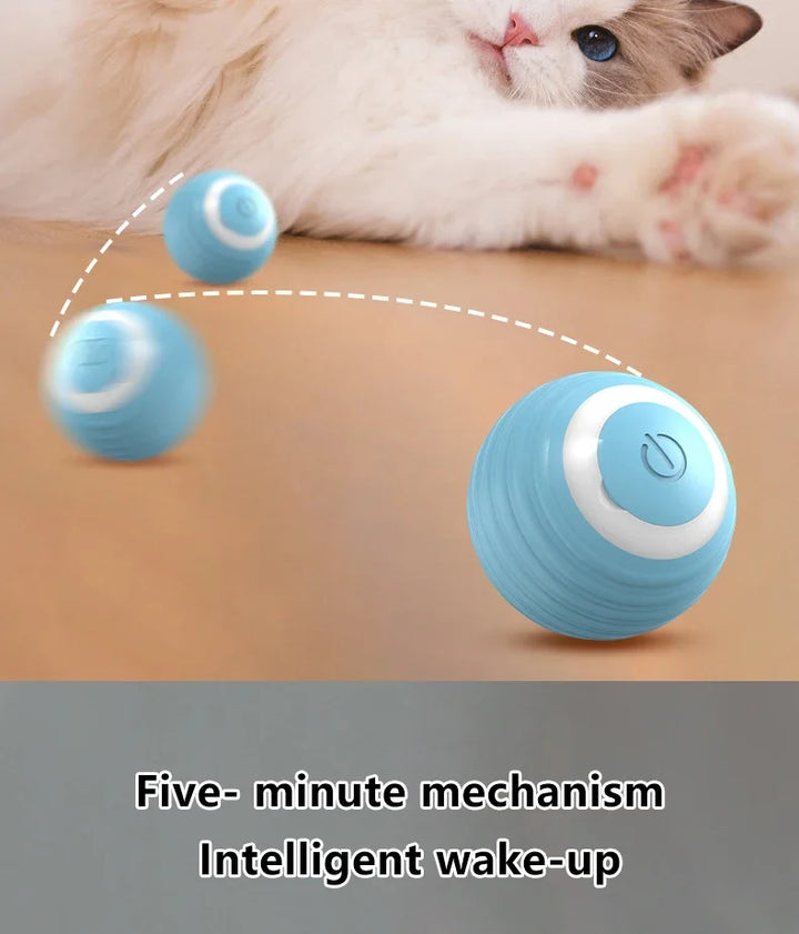 1PC  Interactive Ball Smart Cat Toys