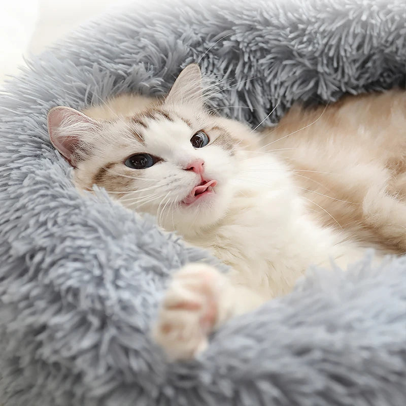 Round Pet Dogs And Cat Mat