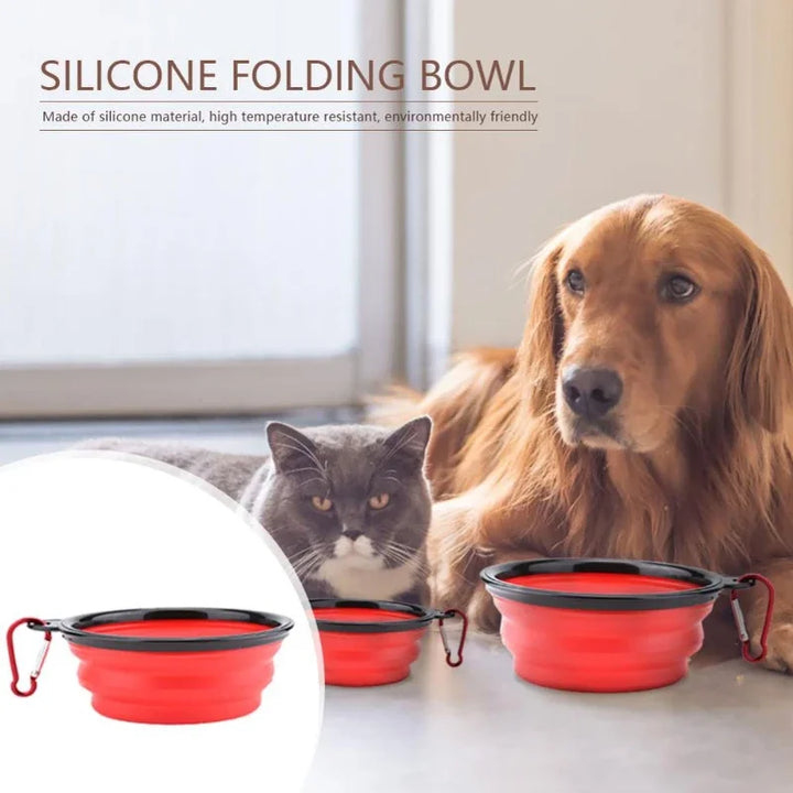 Dog Double Bowl For  Food And  Water