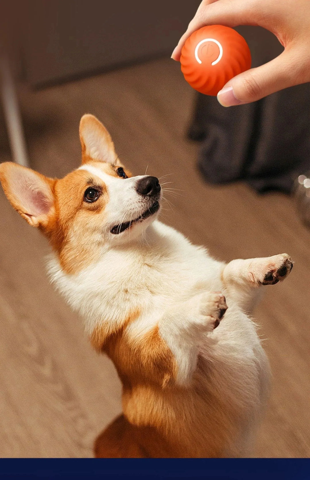 Interactive Pet Toy Moving Ball