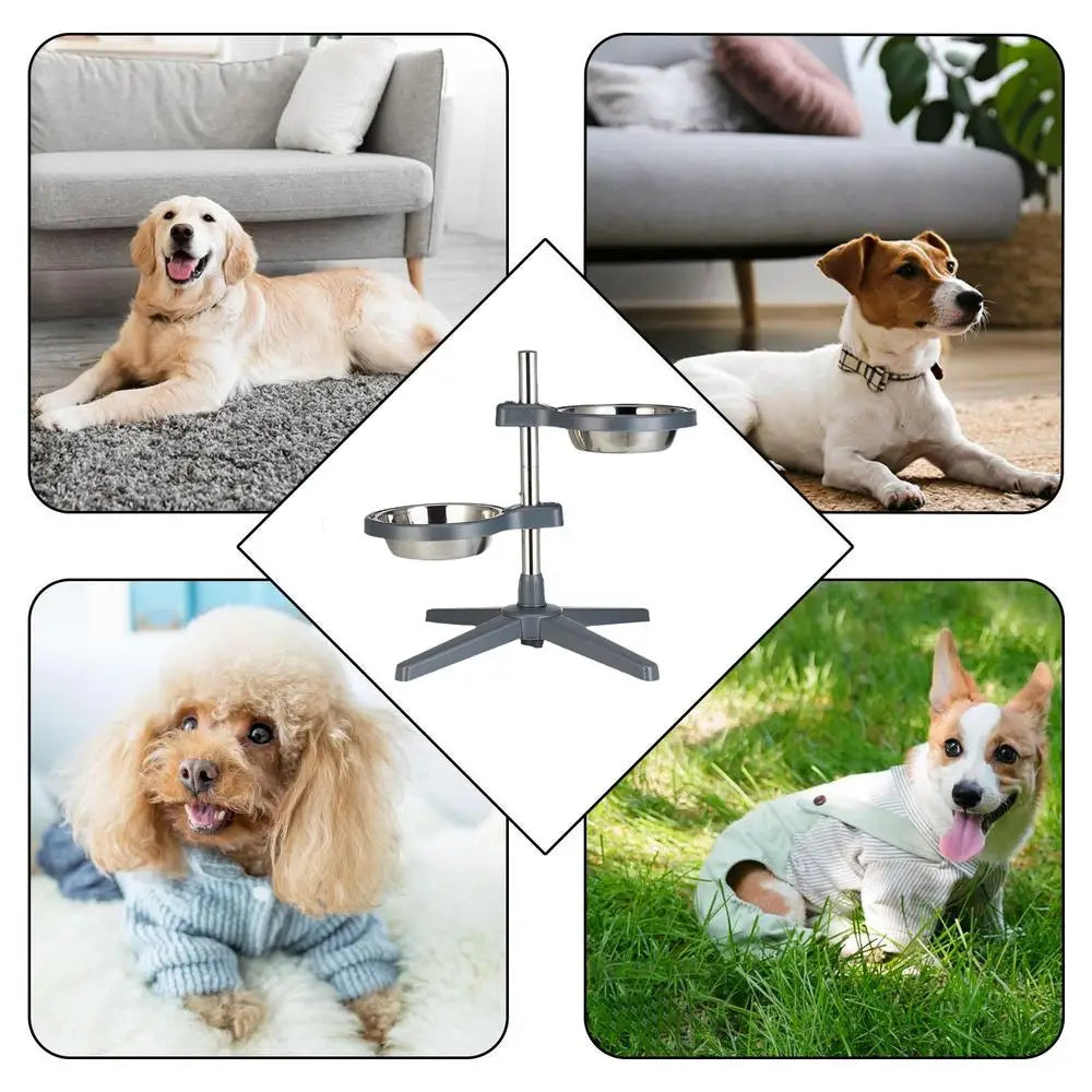 Adjustable Pet Raised Bowls For Food & Water