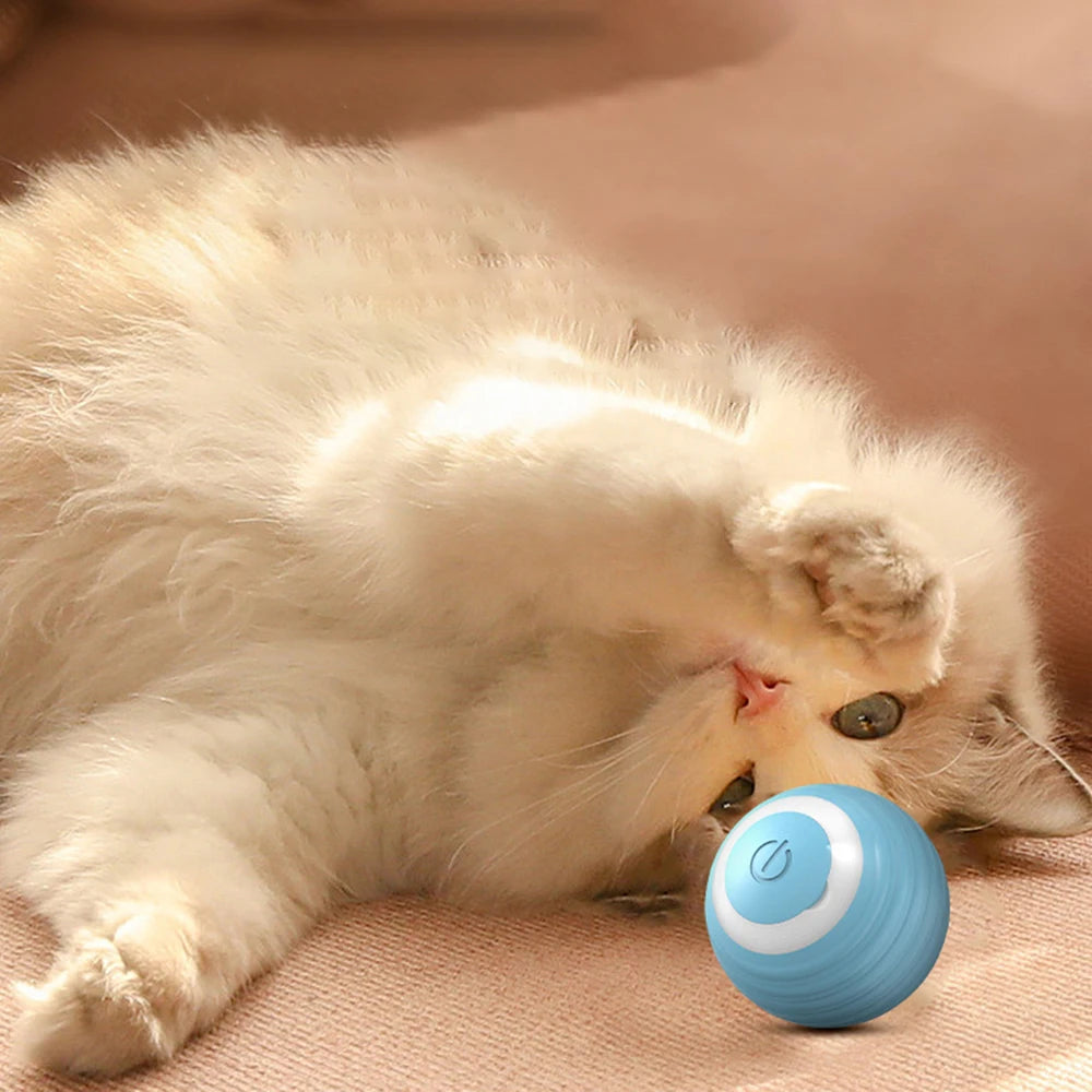 Smart Rolling Ball Cat