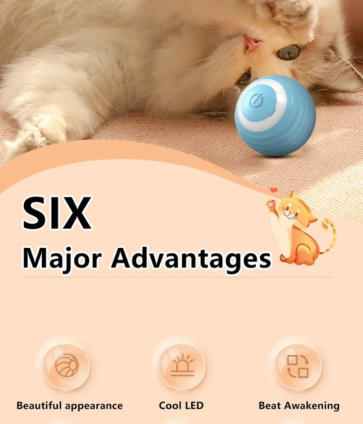 1PC  Interactive Ball Smart Cat Toys