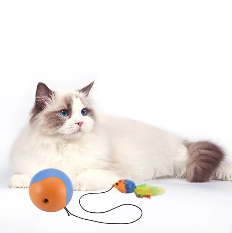 Automatic Pet  Rolling Chase Ball