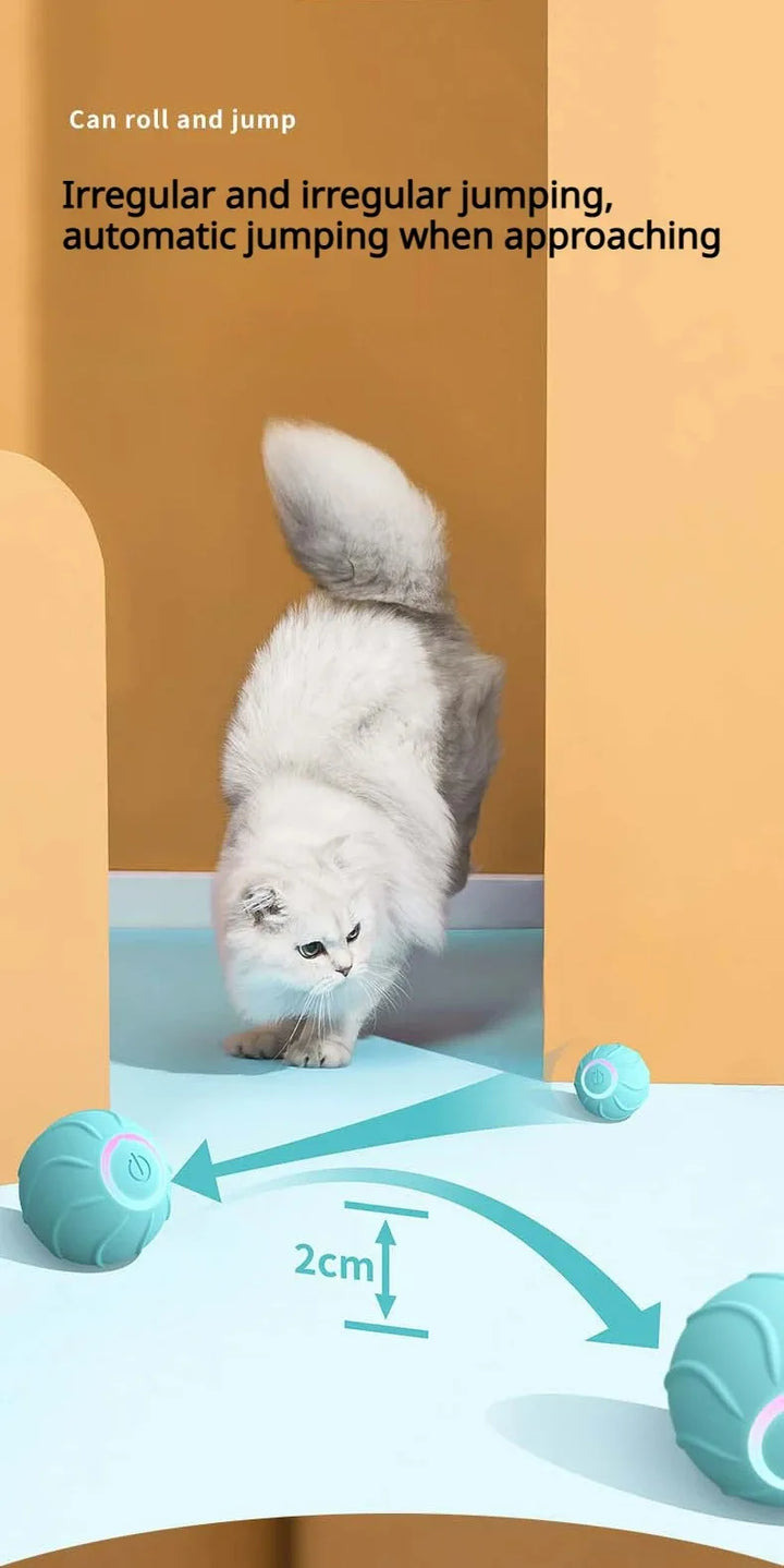 Smart Cat Pet Rolling Ball