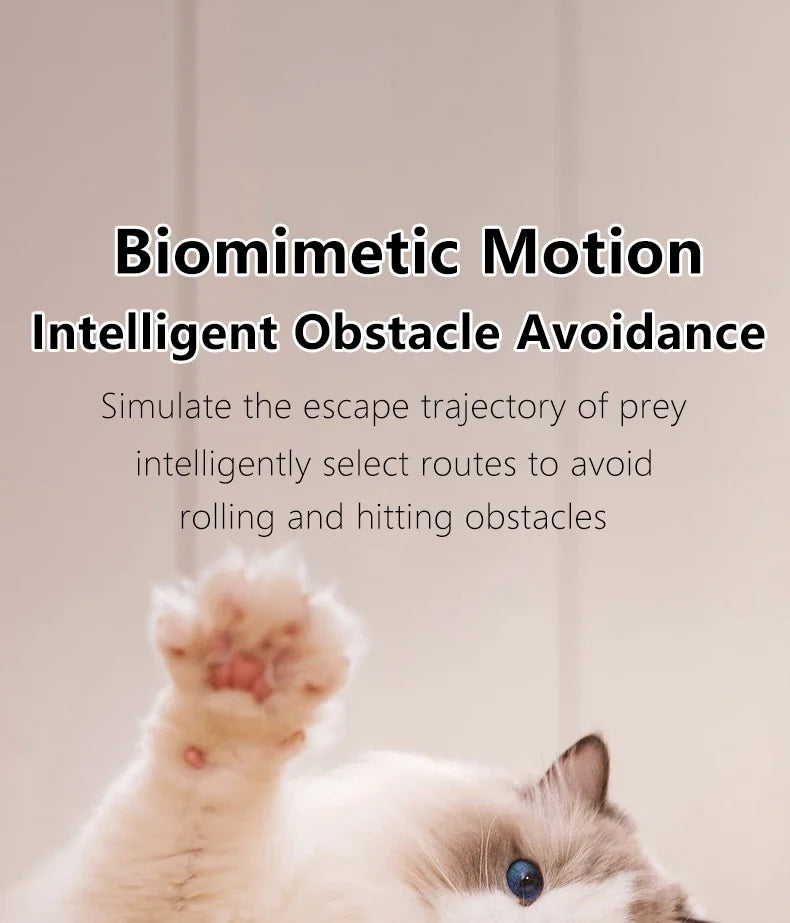 1PC  Interactive Ball Smart Cat Toys