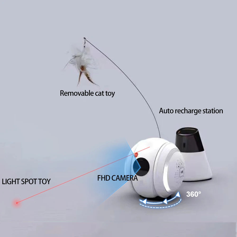 Automatic Pet Toy