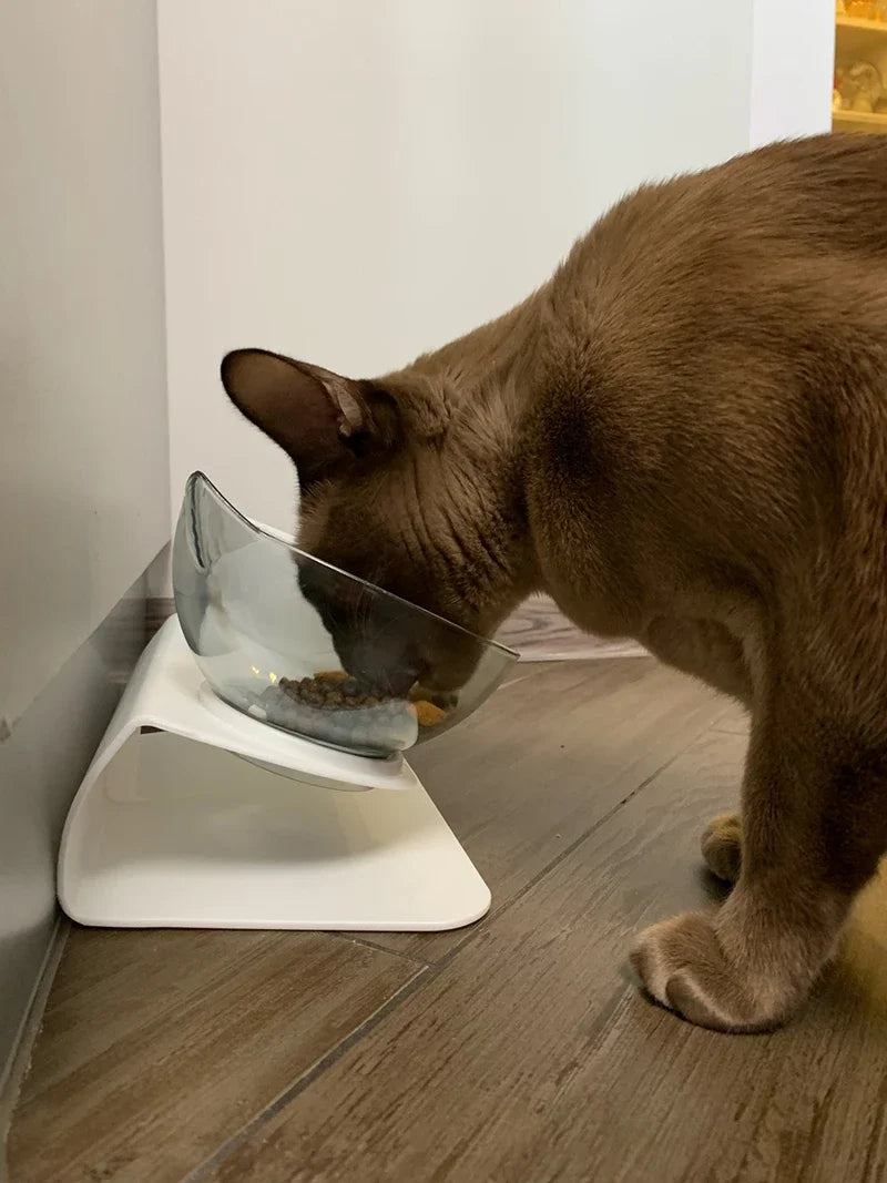 Double Cat and Dog Bowl
