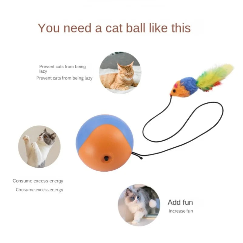 Automatic Pet  Rolling Chase Ball