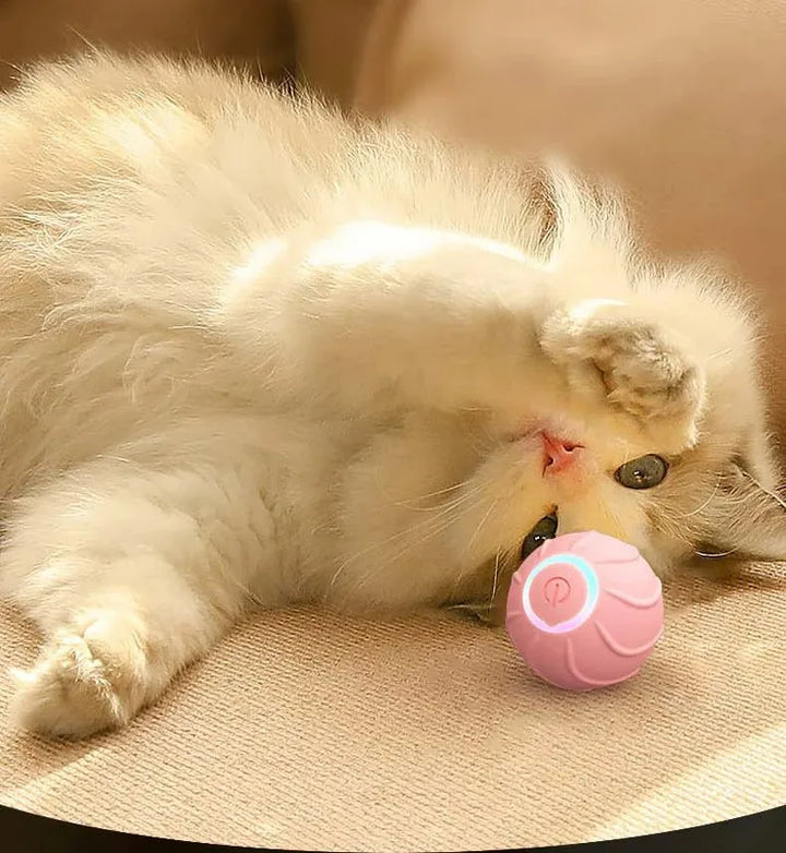 Smart Cat Pet Rolling Ball