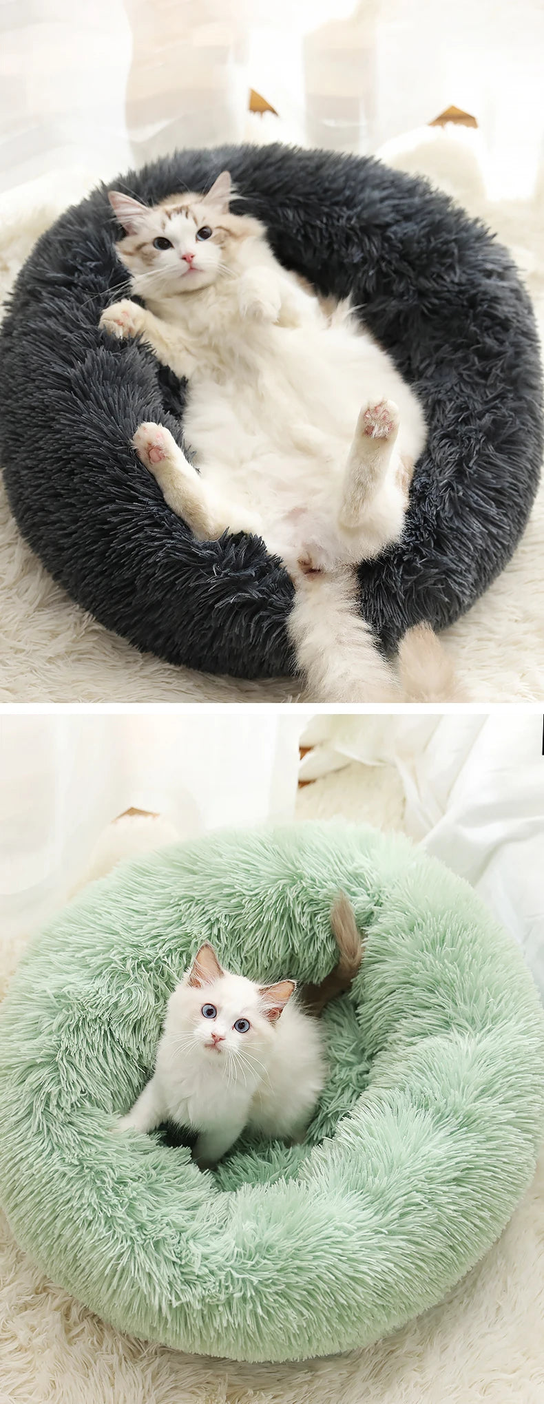 Round Pet Dogs And Cat Mat