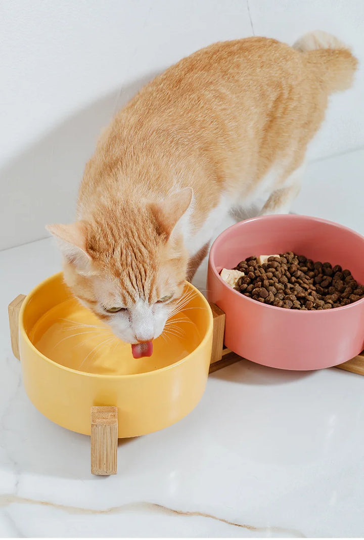 Pet  Ceramics Double Food Water Bowls