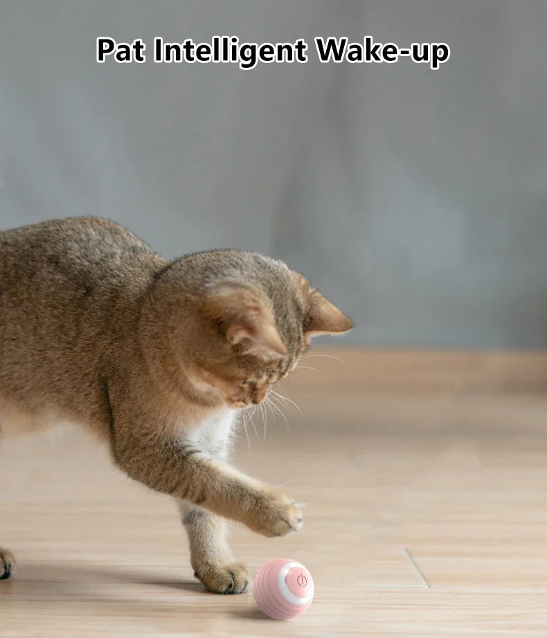 1PC  Interactive Ball Smart Cat Toys