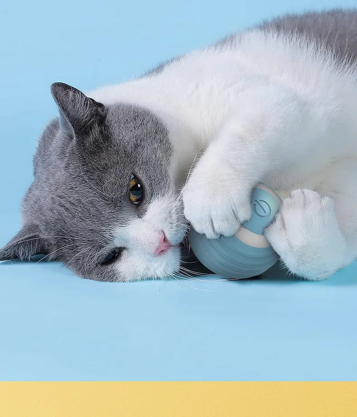 1PC  Interactive Ball Smart Cat Toys