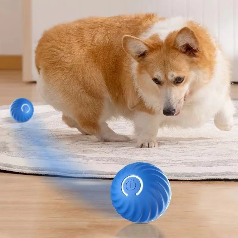 Interactive Pet Toy Moving Ball