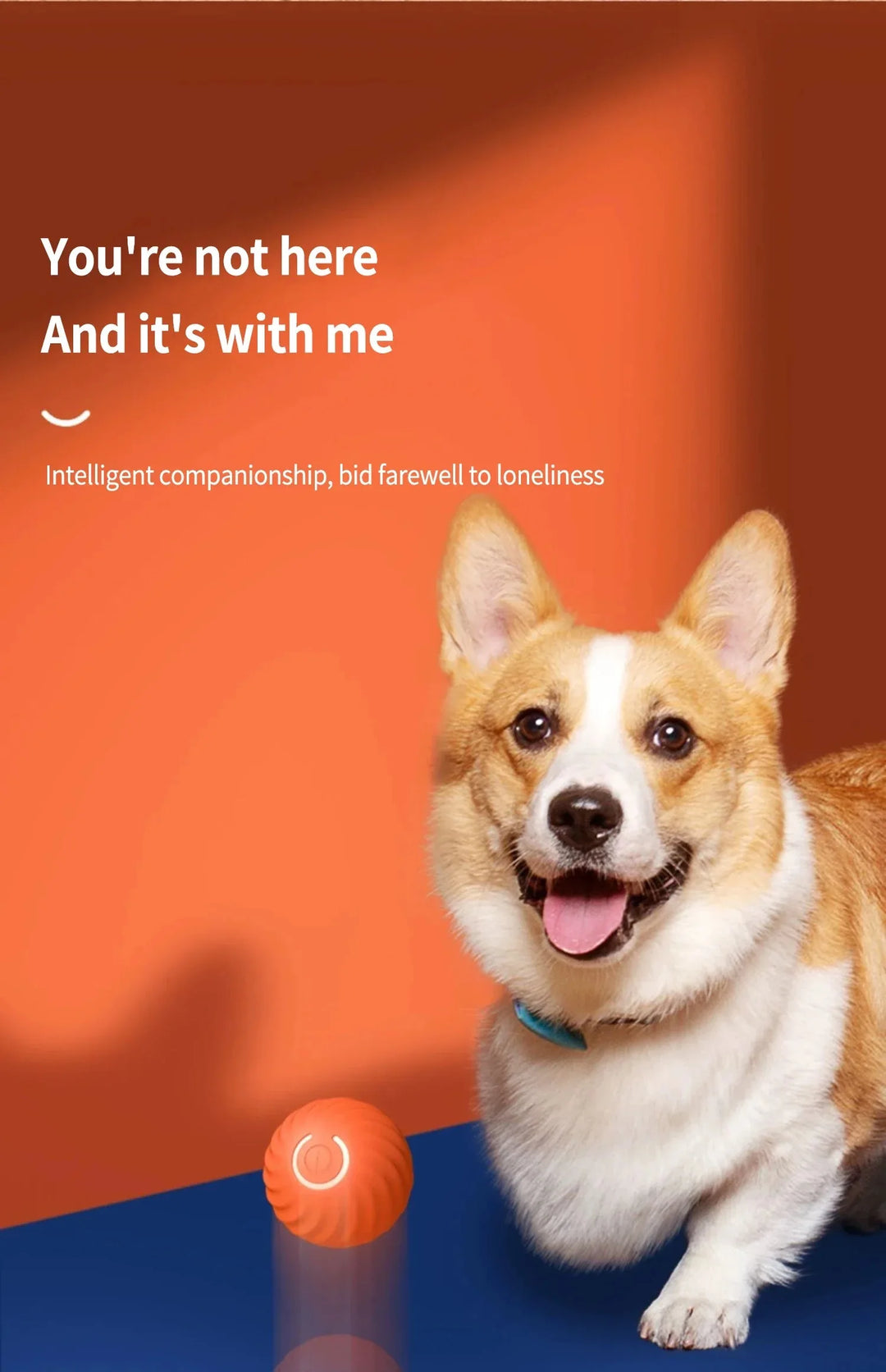 Interactive Pet Toy Moving Ball