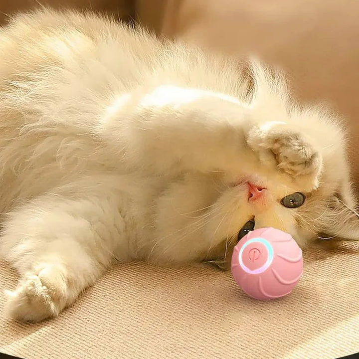 Smart Cat Pet Rolling Ball