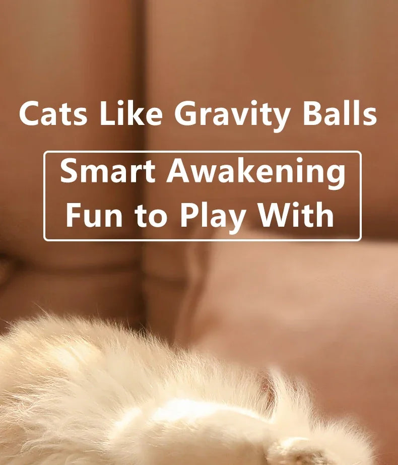 1PC  Interactive Ball Smart Cat Toys