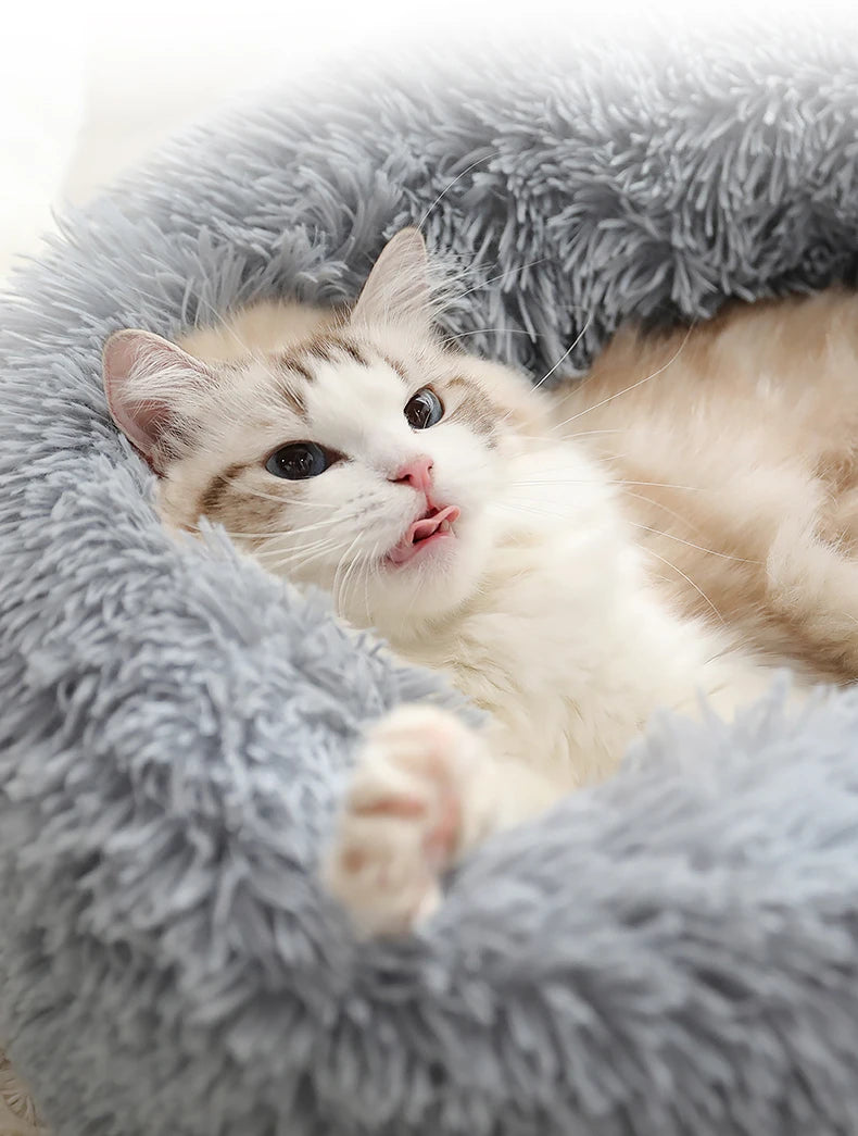 Round Pet Dogs And Cat Mat