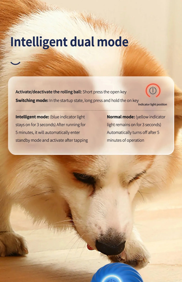 Interactive Pet Toy Moving Ball
