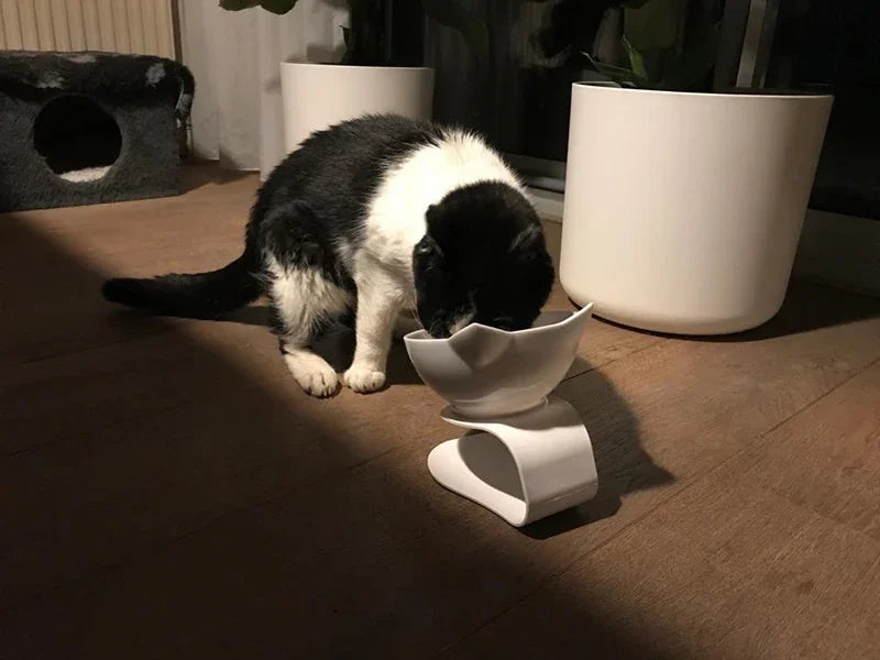 Double Cat and Dog Bowl