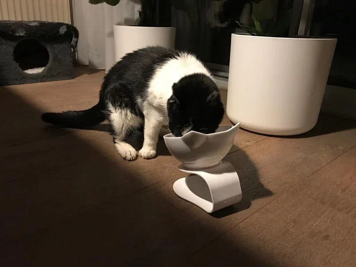 Double Cat and Dog Bowl