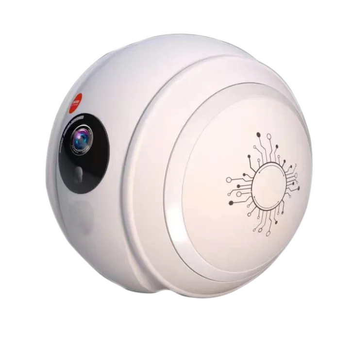 Automatic Pet Toy