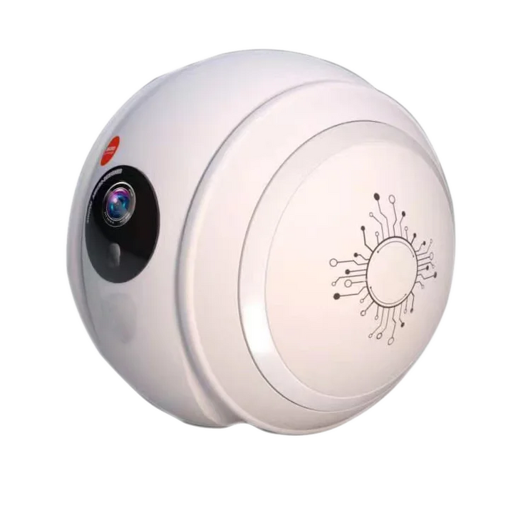 Automatic Pet Toy