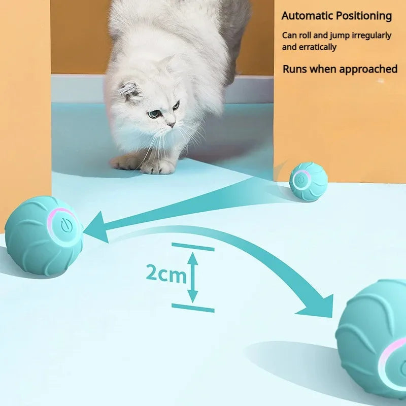 Smart Cat Pet Rolling Ball