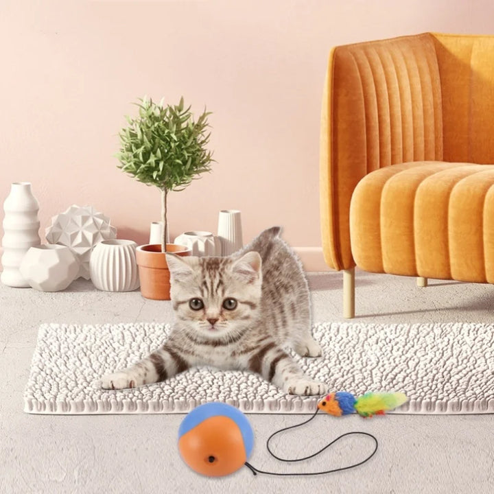 Automatic Pet  Rolling Chase Ball