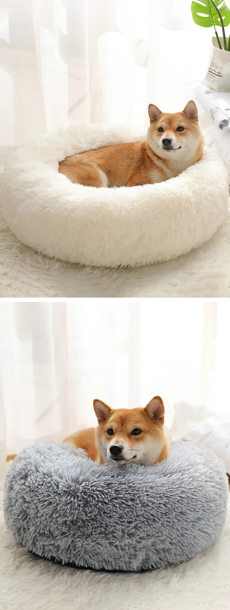 Round Pet Dogs And Cat Mat