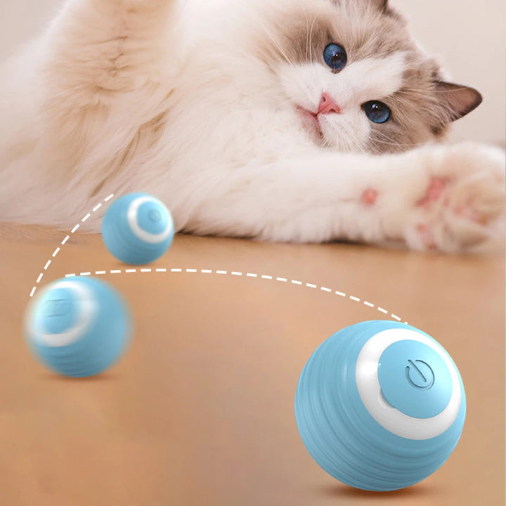 Smart Rolling Ball Cat