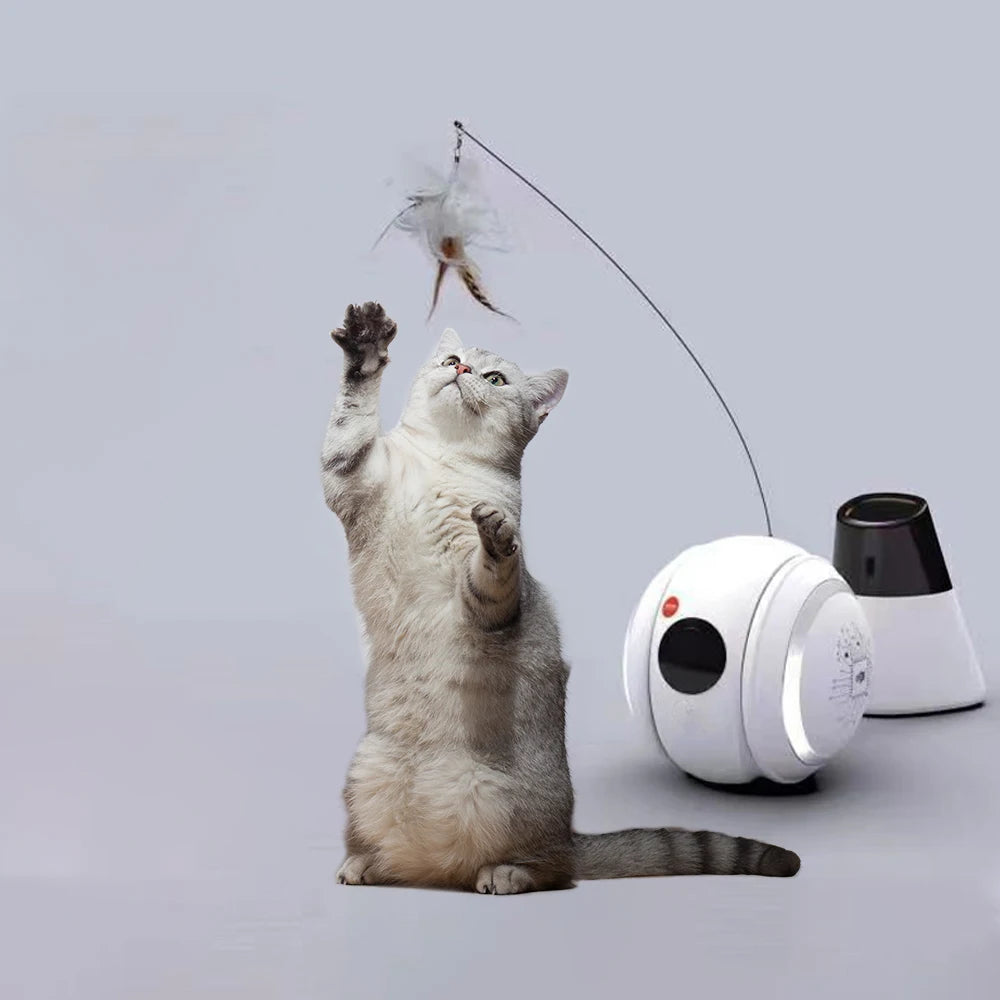 Automatic Pet Toy