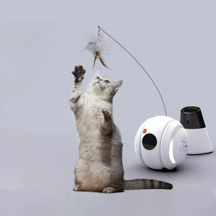 Automatic Pet Toy
