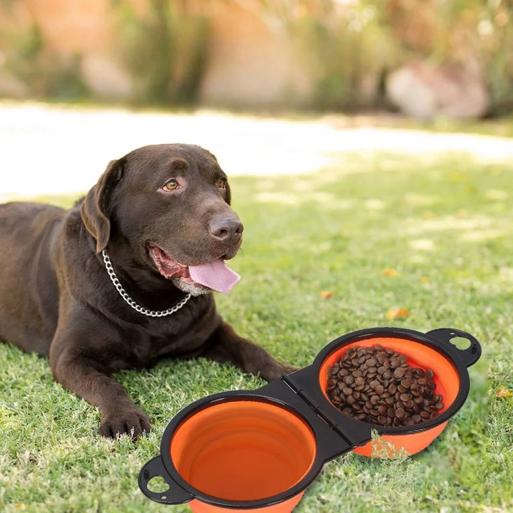 Foldable Double Pet Bowl
