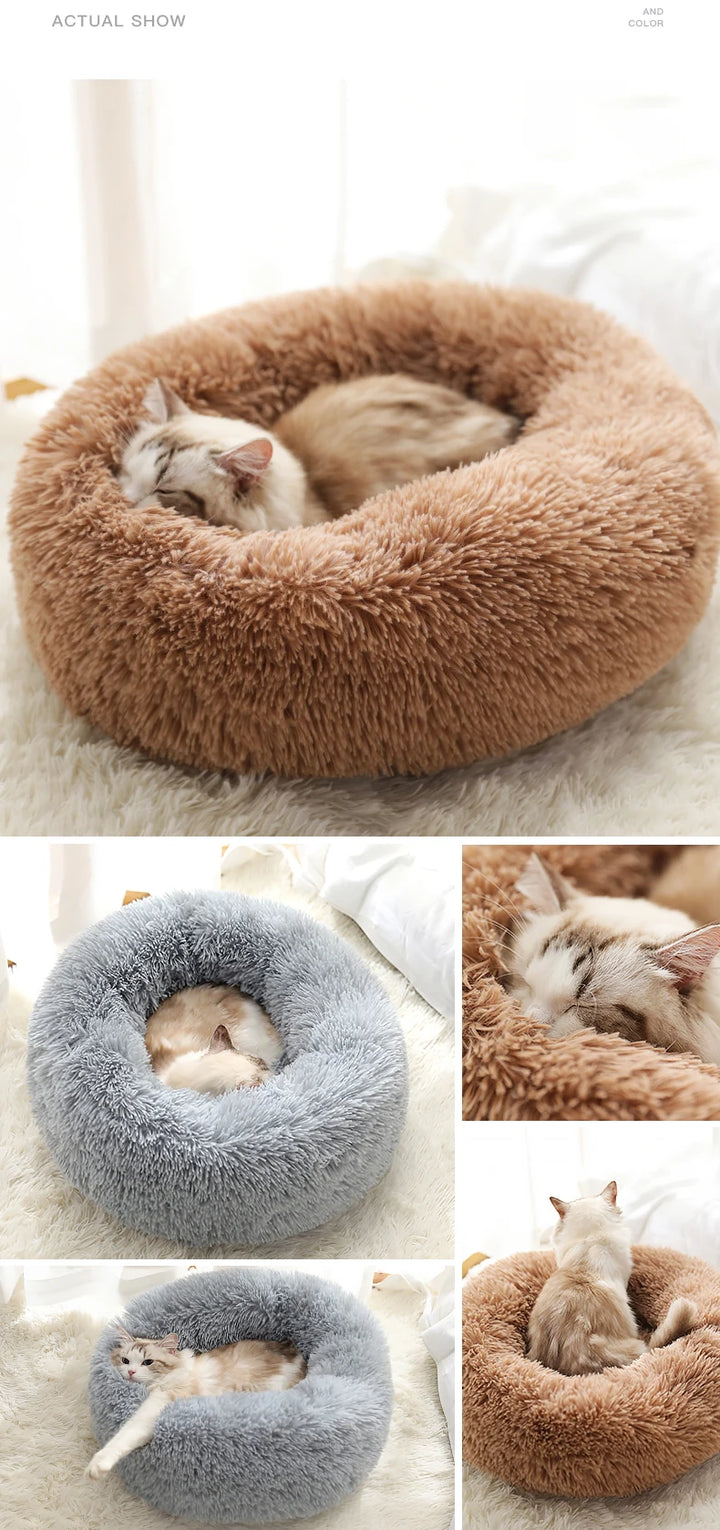 Round Pet Dogs And Cat Mat