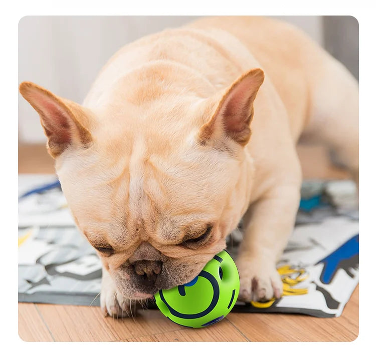 Dog toy  rolling bite resistant grinding teeth