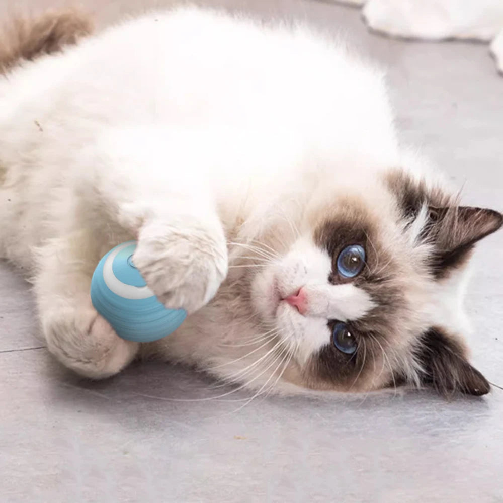 Smart Rolling Ball Cat